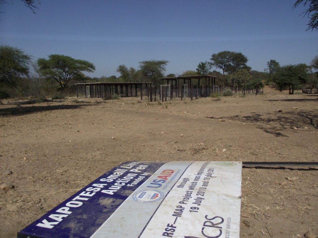 This picture was taken less than a year after the Kapotesa Small Livestock Auction Pen was established in Mudzi District. The fallen billboard has since vanished.