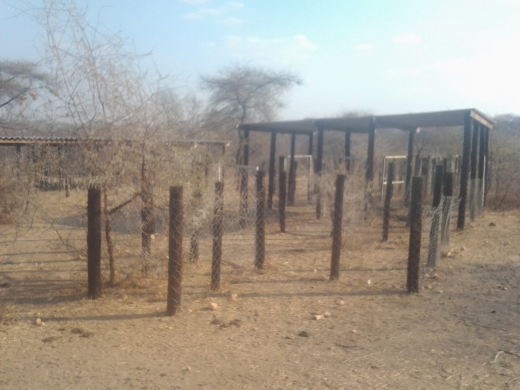More than three years after the Kapotesa Small Livestock Pen was constructed the project is showing every sign of failure.