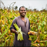 Maize dependency and agricultural subsidies in Zambia: In conversation with Rhoda Mofya-Mukuka