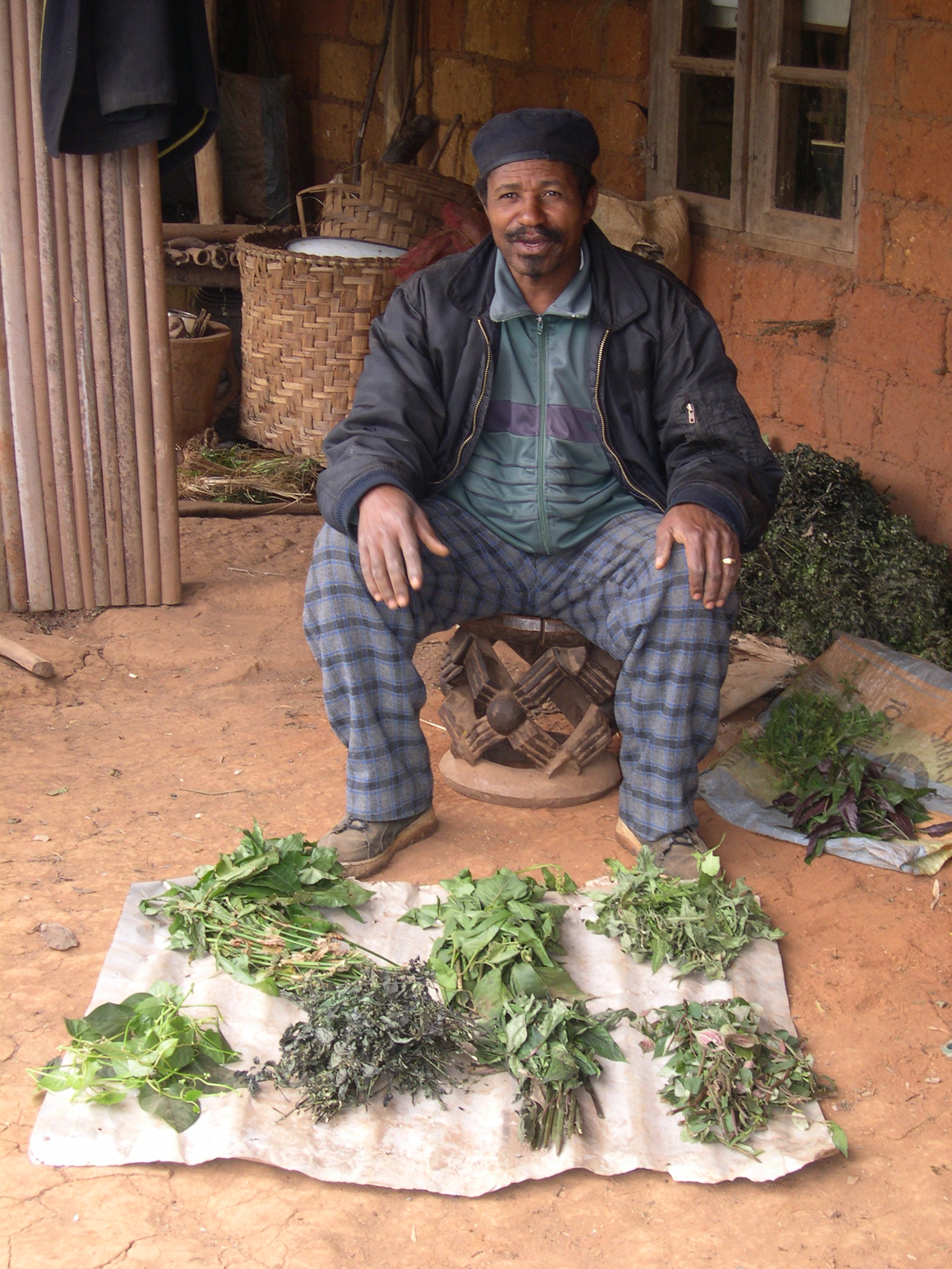 Traditional doctor, David Nchinda, is shown here with a fresh harvest of medicinal plants