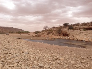 watering_livestock_sanaag_2014