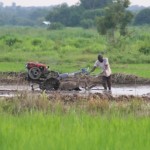 Ending poverty in Ghana: the role for agriculture