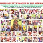 An introduction to Boko Haram’s ideologues: from Yusuf to Shekau