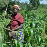 Is agriculture being neglected under devolution?